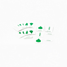 Botany Cabinet: Nomenclature Cards