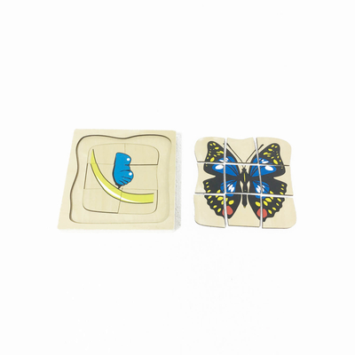 Animal Puzzle: Life Cycle Of Butterfly(5 Layers)
