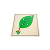 Botany Puzzle: Leaf(plastic knob)