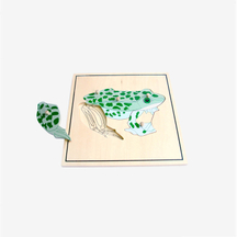 Animal Skeleton Puzzle: Frog(plastic knob)