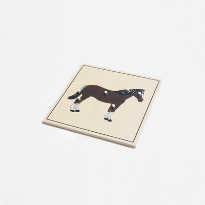 Animal Skeleton Puzzle: Horse(plastic knob)