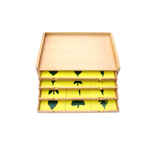 Botany Cabinet: 24 Leaf-shape insets
