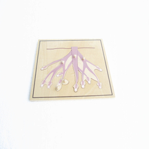 Botany Puzzle: Root(plastic knob)