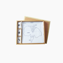 Botany Puzzle Activity Set: Three, Flower, Leaf