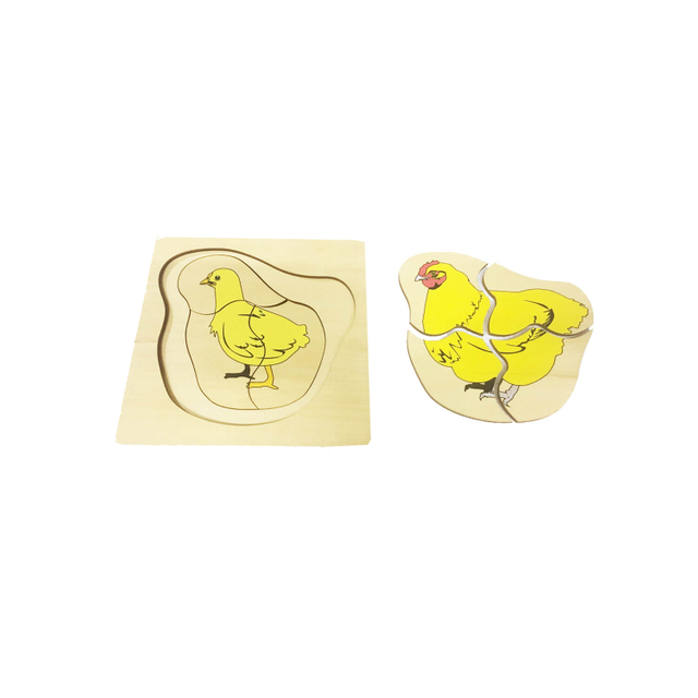 Animal Puzzle: Life Cycle Of Chicken(5 Layers)